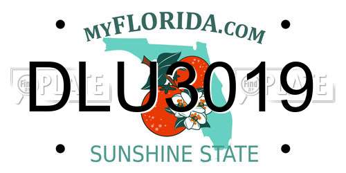 DLU3019 Florida License Plate