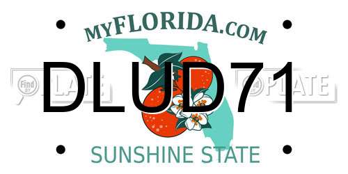 DLUD71 Florida License Plate