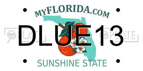 DLUE13 Florida License Plate