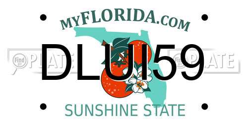DLUI59 Florida License Plate