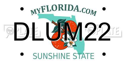 DLUM22 Florida License Plate