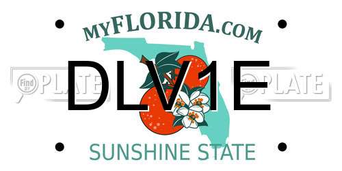 DLV1E Florida License Plate