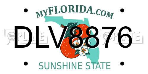 DLV8876 Florida License Plate