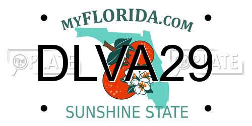 DLVA29 Florida License Plate