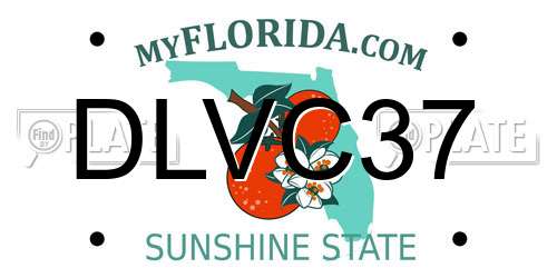 DLVC37 Florida License Plate