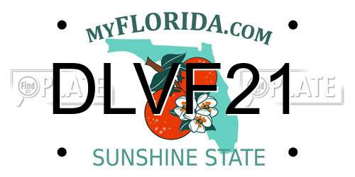 DLVF21 Florida License Plate