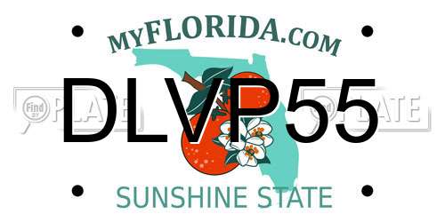 DLVP55 Florida License Plate