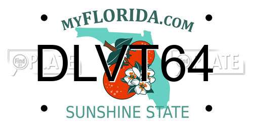 DLVT64 Florida License Plate