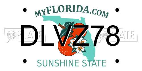 DLVZ78 Florida License Plate