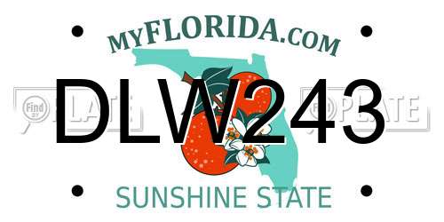 DLW243 Florida License Plate