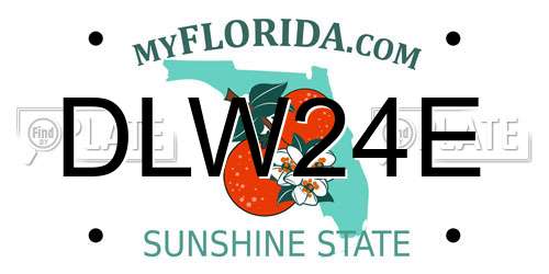 DLW24E Florida License Plate