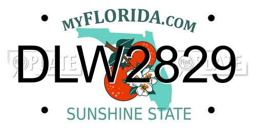 DLW2829 Florida License Plate