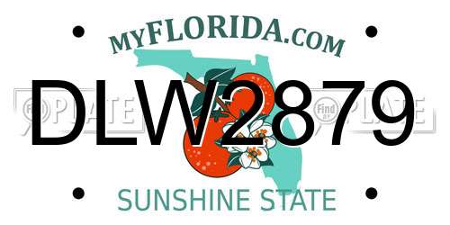 DLW2879 Florida License Plate