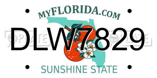 DLW7829 Florida License Plate