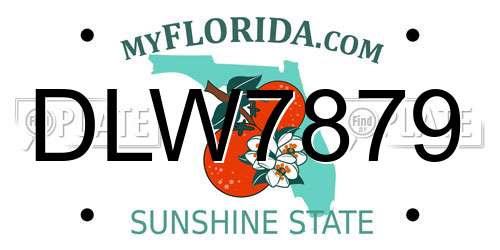 DLW7879 Florida License Plate