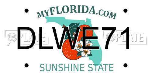 DLWE71 Florida License Plate
