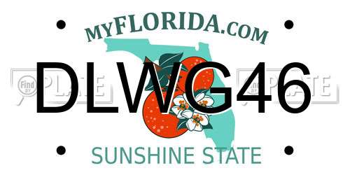 DLWG46 Florida License Plate