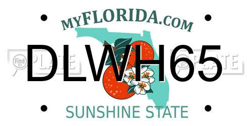 DLWH65 Florida License Plate