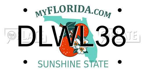 DLWL38 Florida License Plate