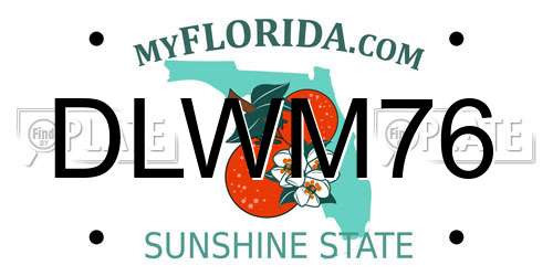 DLWM76 Florida License Plate