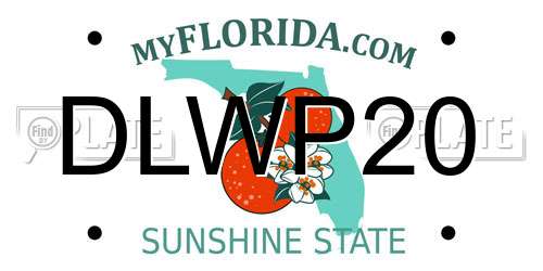 DLWP20 Florida License Plate