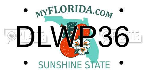 DLWP36 Florida License Plate