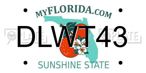 DLWT43 Florida License Plate
