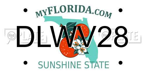 DLWV28 Florida License Plate