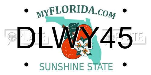 DLWY45 Florida License Plate