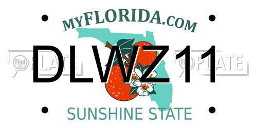 DLWZ11 Florida License Plate