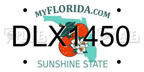 DLX1450 Florida License Plate