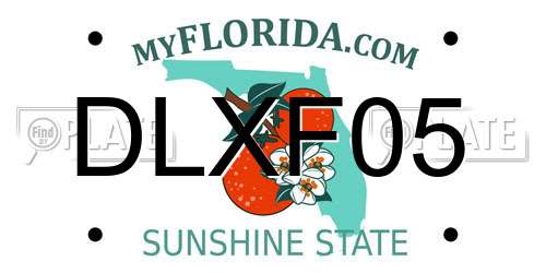 DLXF05 Florida License Plate
