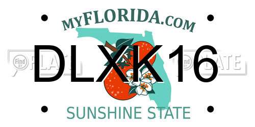 DLXK16 Florida License Plate