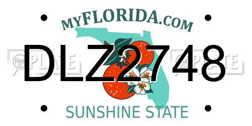 DLZ2748 Florida License Plate