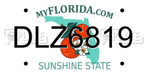 DLZ6819 Florida License Plate