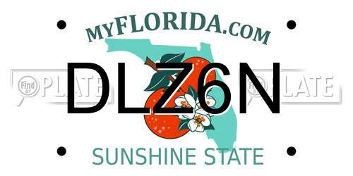 DLZ6N Florida License Plate