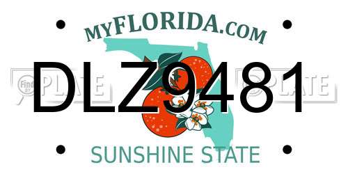 DLZ9481 Florida License Plate