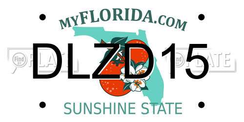 DLZD15 Florida License Plate
