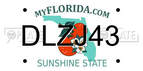DLZJ43 Florida License Plate
