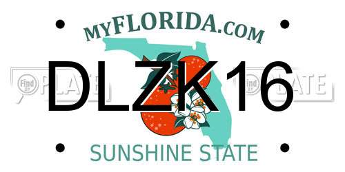 DLZK16 Florida License Plate