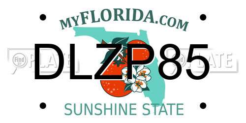 DLZP85 Florida License Plate