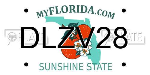 DLZV28 Florida License Plate