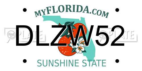 DLZW52 Florida License Plate