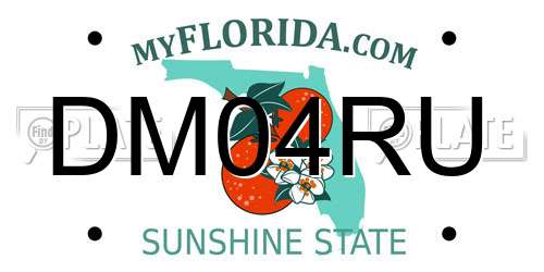 DM04RU Florida License Plate