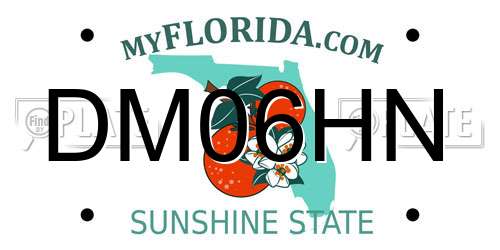 DM06HN Florida License Plate
