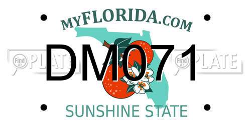 DM071 Florida License Plate