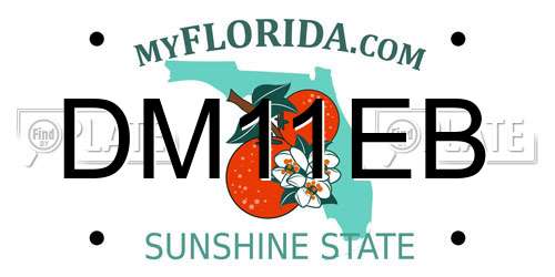 DM11EB Florida License Plate