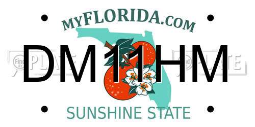 DM11HM Florida License Plate