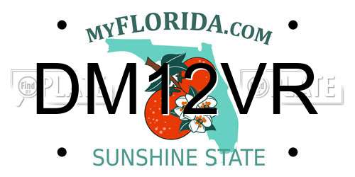 DM12VR Florida License Plate