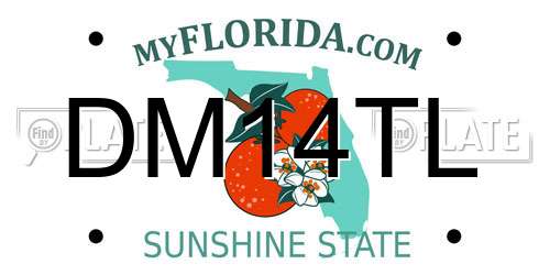 DM14TL Florida License Plate